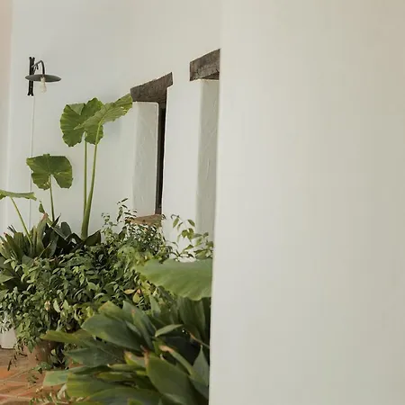 Morisca Charming Boutique 3* Frigiliana